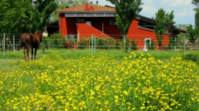 Agriturismo Adriano Pedretti